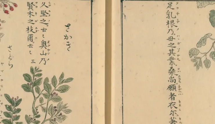 Flying Squirrels and Delicious Garlic: Animals and Plants in an Illuminated Early-Modern Miscellany of Ancient Japanese Poetry