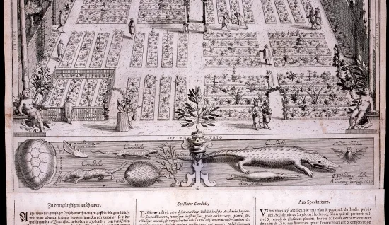 The 1610 Engravings of Leiden University: Botanical Garden