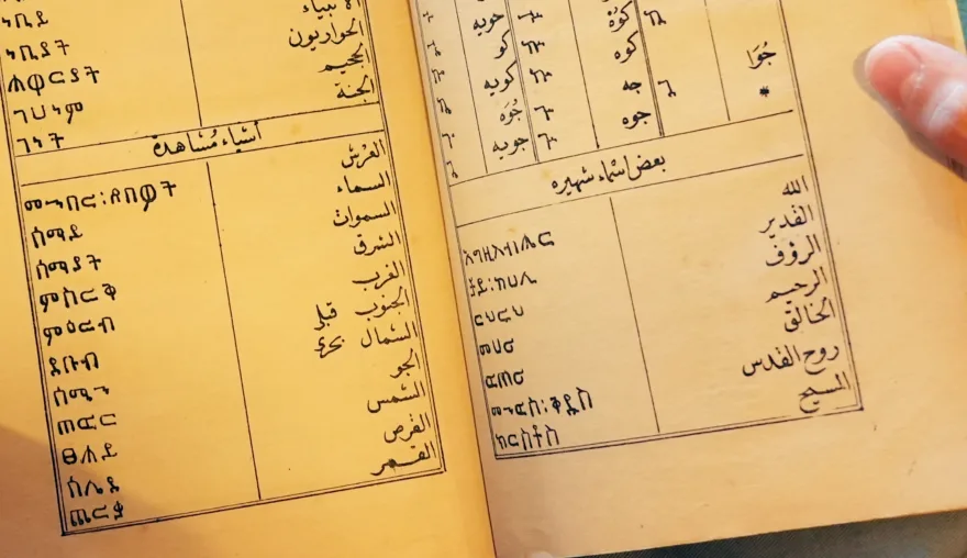 “A glimpse of knowledge”: Lessons from a Nineteenth-Century Arabic Textbook for Amharic