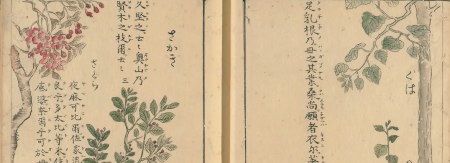 Flying Squirrels and Delicious Garlic: Animals and Plants in an Illuminated Early-Modern Miscellany of Ancient Japanese Poetry