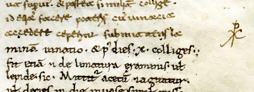 Common but not ordinary: a Late 11th-Century Dioscorides Written in Two Scripts