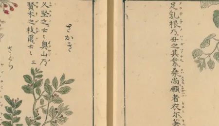 Flying Squirrels and Delicious Garlic: Animals and Plants in an Illuminated Early-Modern Miscellany of Ancient Japanese Poetry