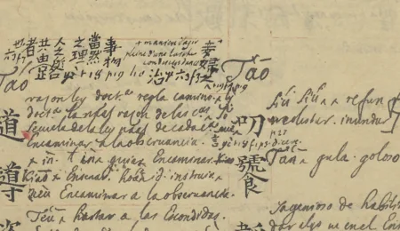 Old Manuscript Dictionaries of Chinese: New Connections through the work of Francisco Diaz and Appiani's Copy