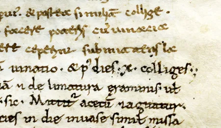 Common but not ordinary: a Late 11th-Century Dioscorides Written in Two Scripts