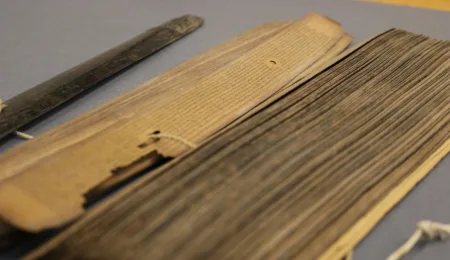 South Indian Treasures Discovered at Leiden University Libraries