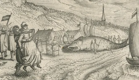 Delicious Holland in 1616