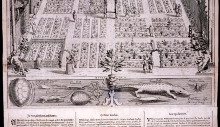 The 1610 Engravings of Leiden University: Botanical Garden