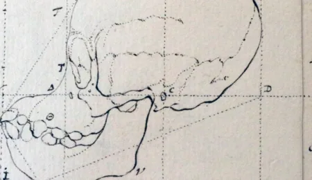 Petrus Camper’s facial angle theory and the missing monkey
