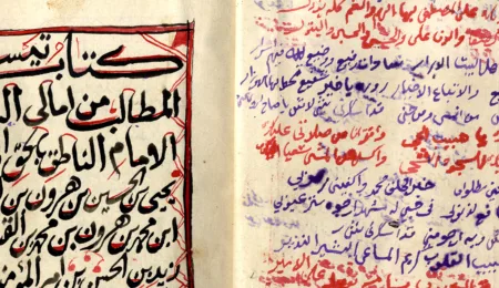 Digitisation Project of Yemeni Manuscripts at Leiden University Libraries
