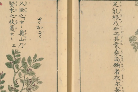 Flying Squirrels and Delicious Garlic: Animals and Plants in an Illuminated Early-Modern Miscellany of Ancient Japanese Poetry