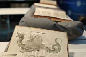 Museum Lab Workshop Special Collections 2